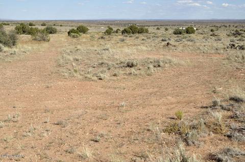 5154 White Antelope Rd, Snowflake, AZ 85937 photo 14