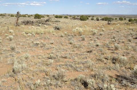 5154 White Antelope Rd, Snowflake, AZ 85937 photo 10