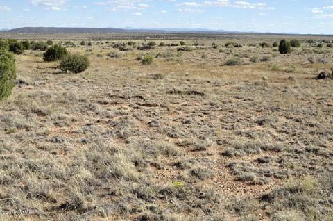 5154 White Antelope Rd, Snowflake, AZ 85937 photo 9