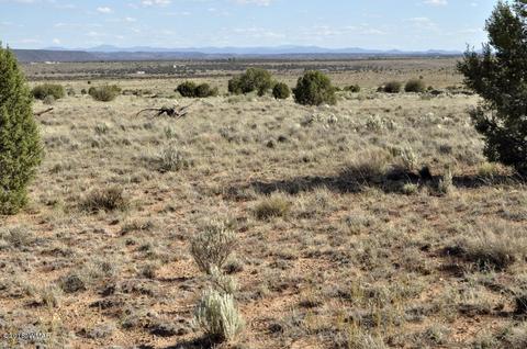 5154 White Antelope Rd, Snowflake, AZ 85937 photo 1