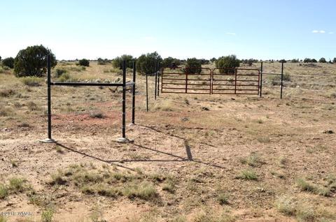 5154 White Antelope Rd, Snowflake, AZ 85937 photo 2