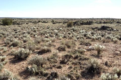5154 White Antelope Rd, Snowflake, AZ 85937 photo 11