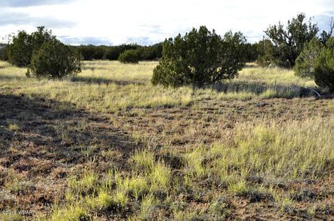 6562 Malapai Rd, Snowflake, AZ 85937 photo 2