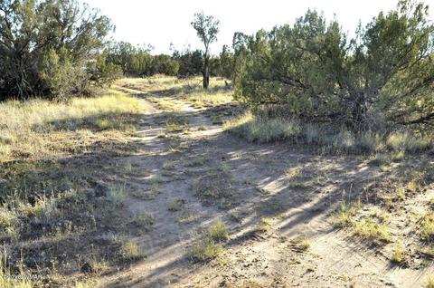 6562 Malapai Rd, Snowflake, AZ 85937 photo 11