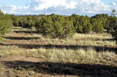 6562 Malapai Rd, Snowflake, AZ 85937 photo 8