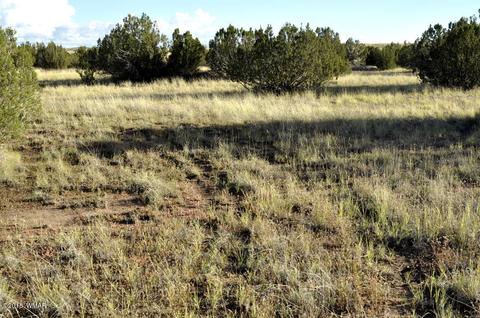 6562 Malapai Rd, Snowflake, AZ 85937 photo 5