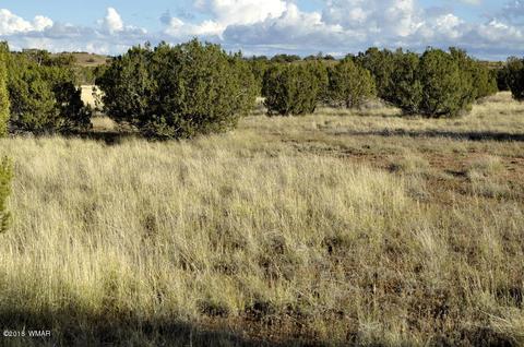 6562 Malapai Rd, Snowflake, AZ 85937 photo 10