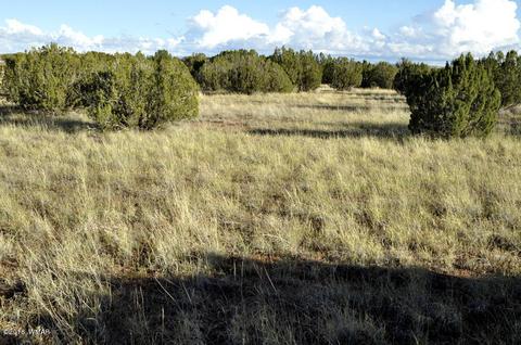 6562 Malapai Rd, Snowflake, AZ 85937 photo 7