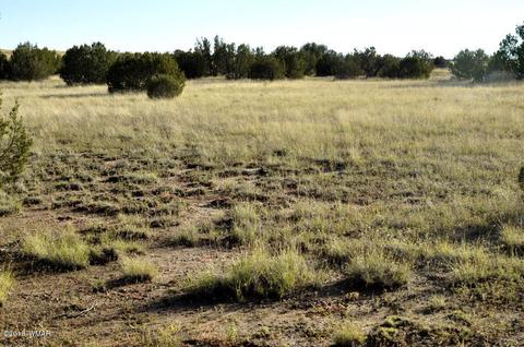 6562 Malapai Rd, Snowflake, AZ 85937 photo 9