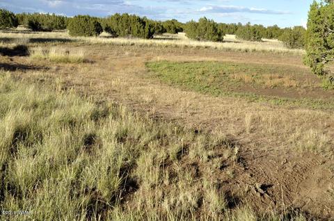 6562 Malapai Rd, Snowflake, AZ 85937 photo 3