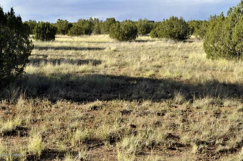 6562 Malapai Rd, Snowflake, AZ 85937 photo 4