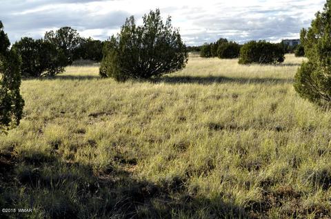 6562 Malapai Rd, Snowflake, AZ 85937 photo 6