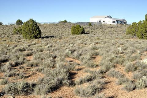 8566 Ledger Ranch Trl, Snowflake, AZ 85937 photo 36
