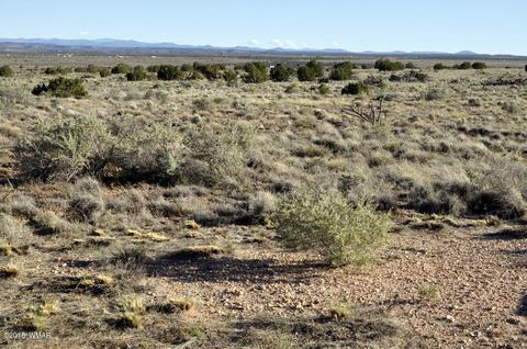 8566 Ledger Ranch Trl, Snowflake, AZ 85937 photo 33