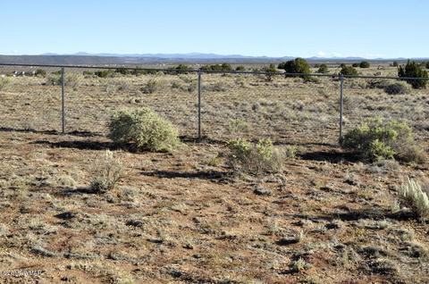 8566 Ledger Ranch Trl, Snowflake, AZ 85937 photo 31