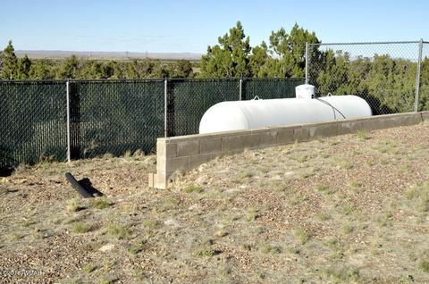 8566 Ledger Ranch Trl, Snowflake, AZ 85937 photo 28