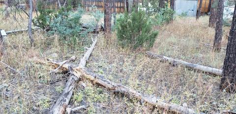 2966 Teddy Bear Trl, Overgaard, AZ 85933 photo 2