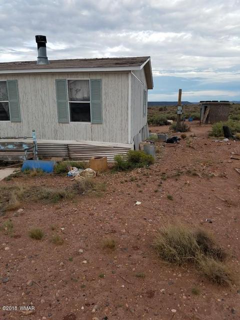 8671 E Concho Hwy, Snowflake, AZ 85937 photo 5