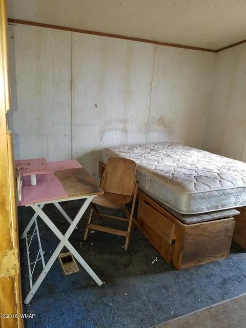 8671 E Concho Hwy, Snowflake, AZ 85937 photo 3