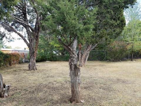 1163 S Rencher St, Eagar, AZ 85925 photo 43