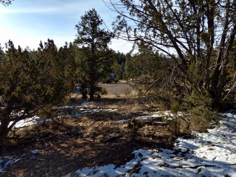 3363 Spring Ct, Overgaard, AZ 85933 photo 11