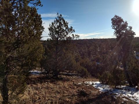 3363 Spring Ct, Overgaard, AZ 85933 photo 7