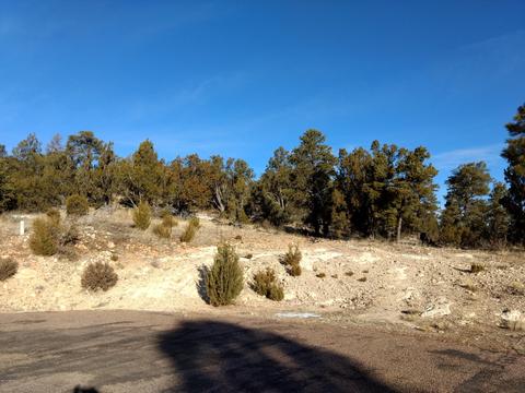 3363 Spring Ct, Overgaard, AZ 85933 photo 2