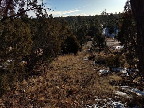 3363 Spring Ct, Overgaard, AZ 85933 photo 6