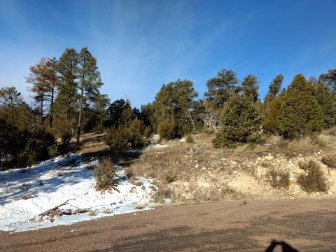 3363 Spring Ct, Overgaard, AZ 85933 photo 4