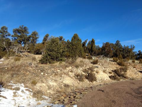 3363 Spring Ct, Overgaard, AZ 85933 photo 5