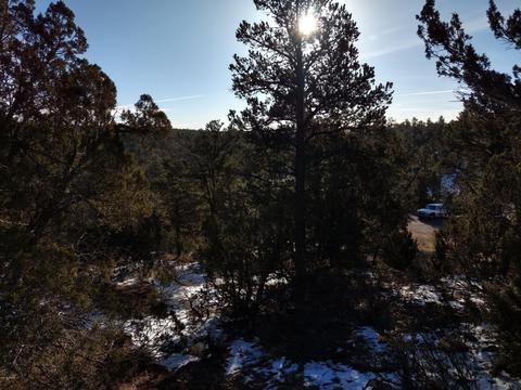 3363 Spring Ct, Overgaard, AZ 85933 photo 9