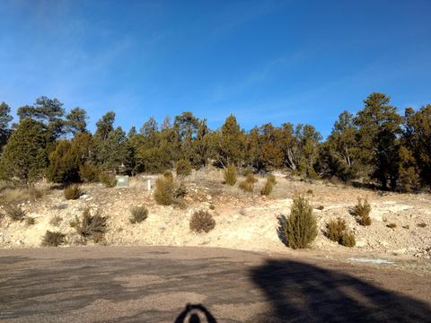3363 Spring Ct, Overgaard, AZ 85933 photo 1