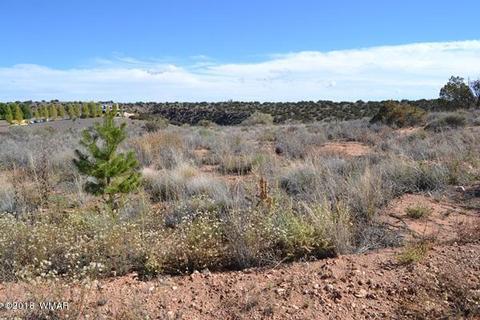 4457 Silver Hawk Trl, Snowflake, AZ 85937 photo 1