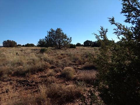 4229 Colt Rd, Snowflake, AZ 85937 photo 12