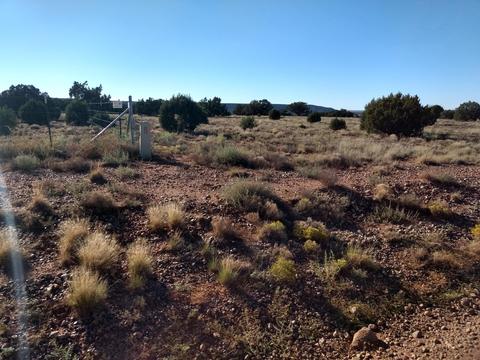 4229 Colt Rd, Snowflake, AZ 85937 photo 8