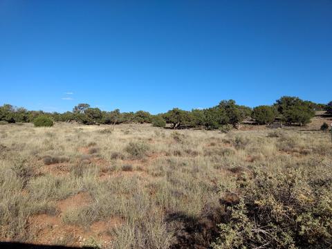 4229 Colt Rd, Snowflake, AZ 85937 photo 4