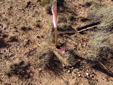 4229 Colt Rd, Snowflake, AZ 85937 photo 10