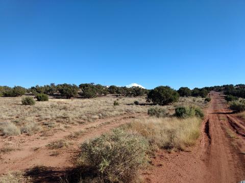 4229 Colt Rd, Snowflake, AZ 85937 photo 3