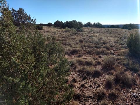 4229 Colt Rd, Snowflake, AZ 85937 photo 11