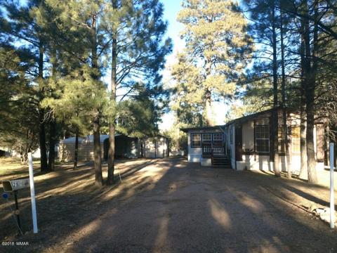2879 Lazy Bear Trl, Overgaard, AZ 85933 photo 17