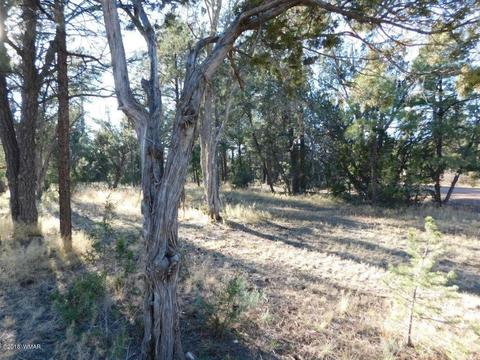 2103 Roundup Rd, Overgaard, AZ 85933 photo 6