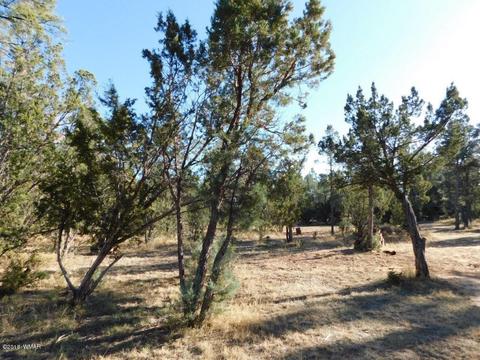 2103 Roundup Rd, Overgaard, AZ 85933 photo 4