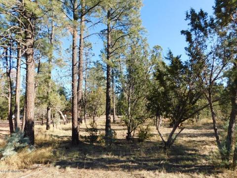 2103 Roundup Rd, Overgaard, AZ 85933 photo 2
