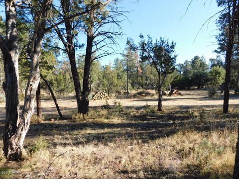 2103 Roundup Rd, Overgaard, AZ 85933 photo 9