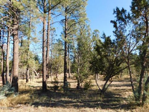 2103 Roundup Rd, Overgaard, AZ 85933 photo 17