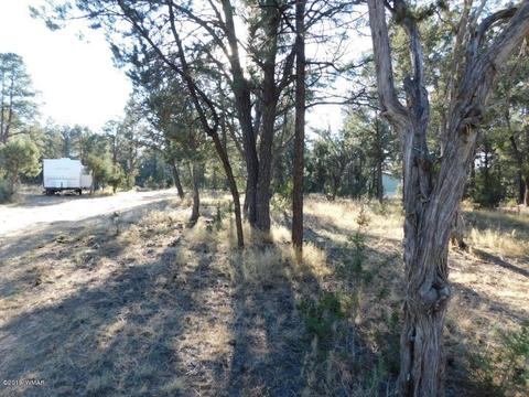 2103 Roundup Rd, Overgaard, AZ 85933 photo 5