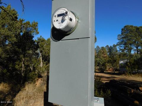 2103 Roundup Rd, Overgaard, AZ 85933 photo 14