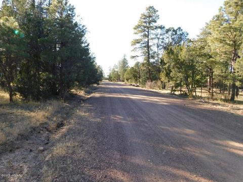 2103 Roundup Rd, Overgaard, AZ 85933 photo 16