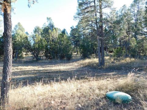 2103 Roundup Rd, Overgaard, AZ 85933 photo 12