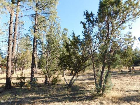 2103 Roundup Rd, Overgaard, AZ 85933 photo 3